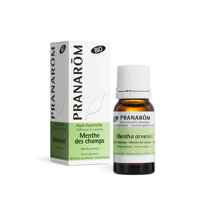 Huile essentielle Menthe des champs bio Pranarôm - flacon de 10 ml
