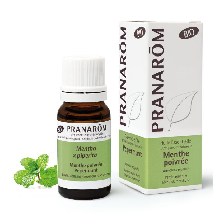 Huile essentielle de menthe poivrée bio Pranarôm - flacon de 10 ml