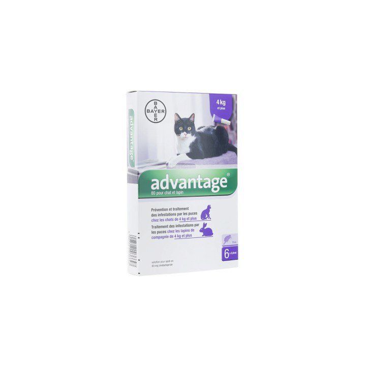 Advantage 80 pour chat et lapin plus de 4 kg Bayer - boite de 6 pipettes