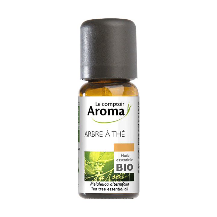 Huile essentielle d'Arbre à thé bio Le comptoir Aroma - flacon de 10 ml