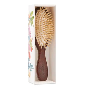 Brosse de voyage Christophe Robin - une brosse à cheveux