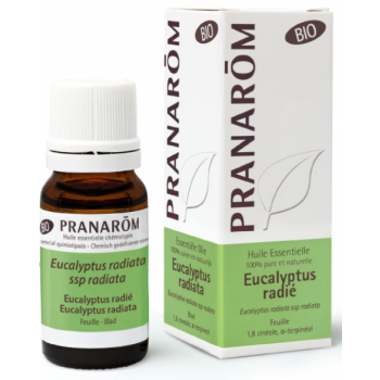 Huile essentielle d'Eucalyptus radié bio Pranarôm - flacon de 10 ml