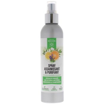 Spray assainissant et purifiant Dayang - spray de 200m