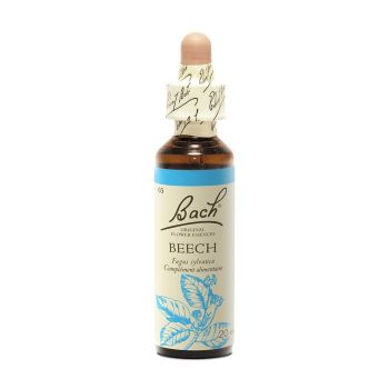 Fleur de Bach Beech Fagus sylvatica - flacon de 20 ml
