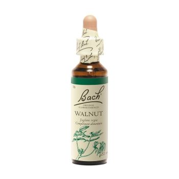 Fleur de Bach Walnut Juglans regia - flacon de 20 ml