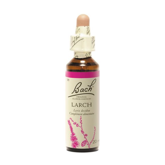 Fleur de Bach larch Larix decidua - flacon de 20 ml